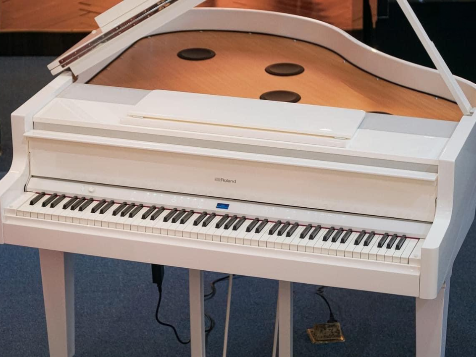 Hình ảnh chi tiết ROLAND GP-9M PW góc chụp 2